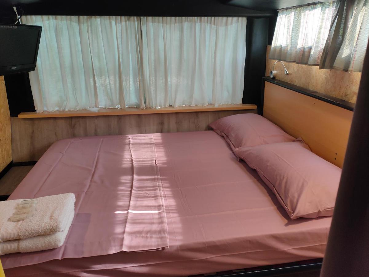 Campsite Terrebiobus *